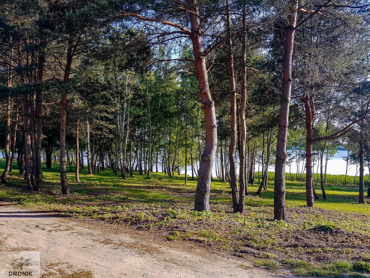 Hotel Zagiel Niewiesze Bagian luar foto